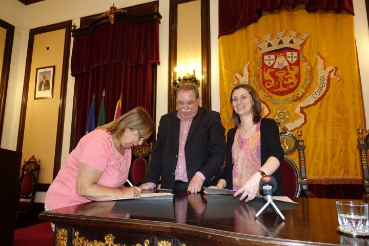 Protocolos 153 Large